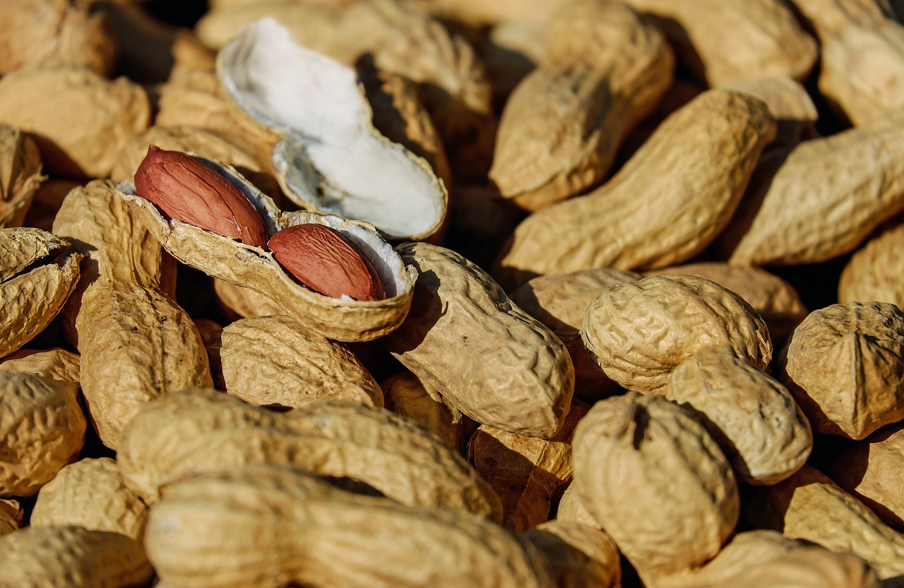 Photo by Couleur nuts, peanuts, roasted