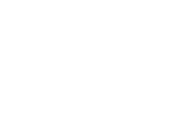 Layer 1