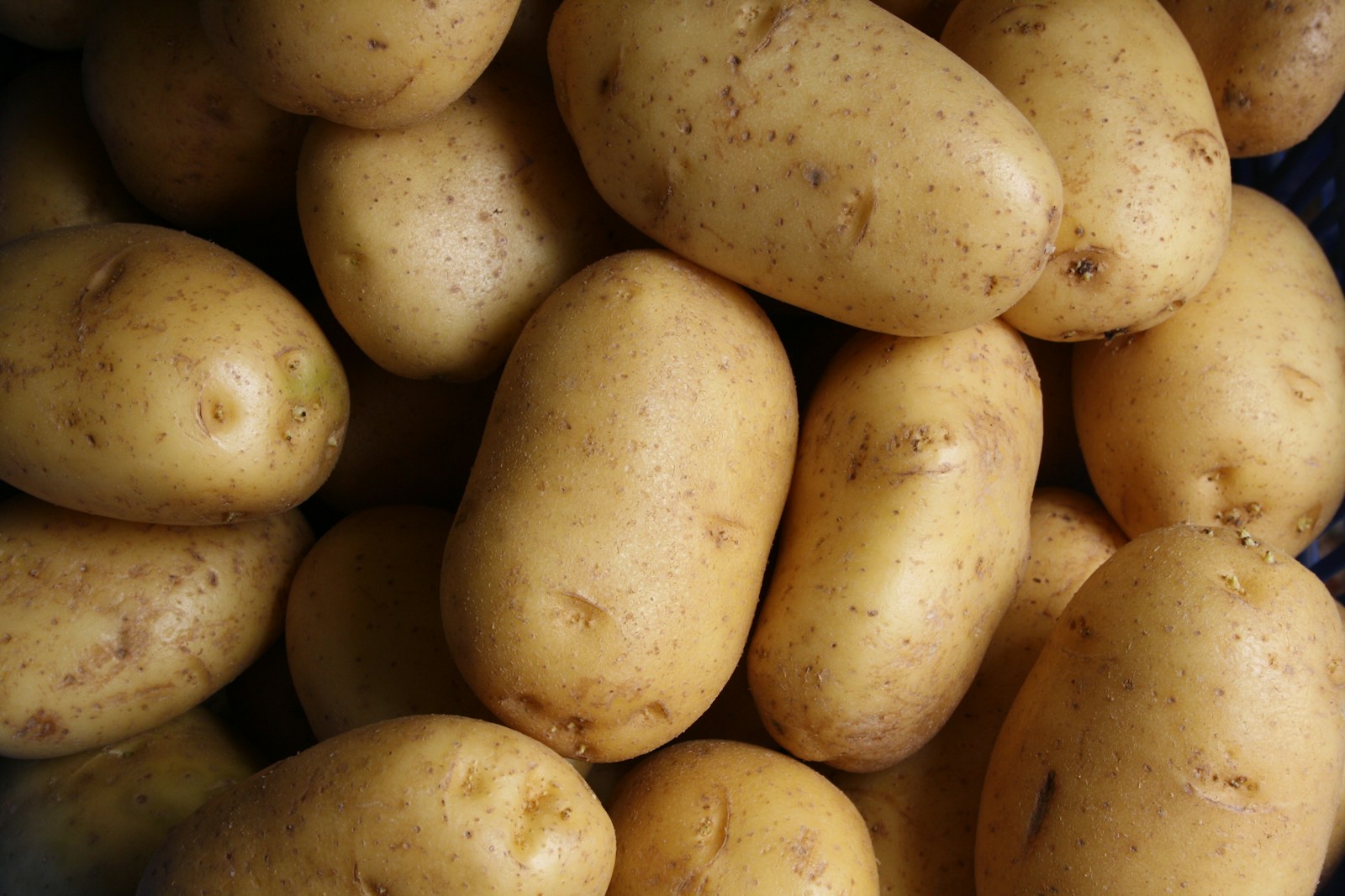 Photo by Lars Blankers brown potato lot