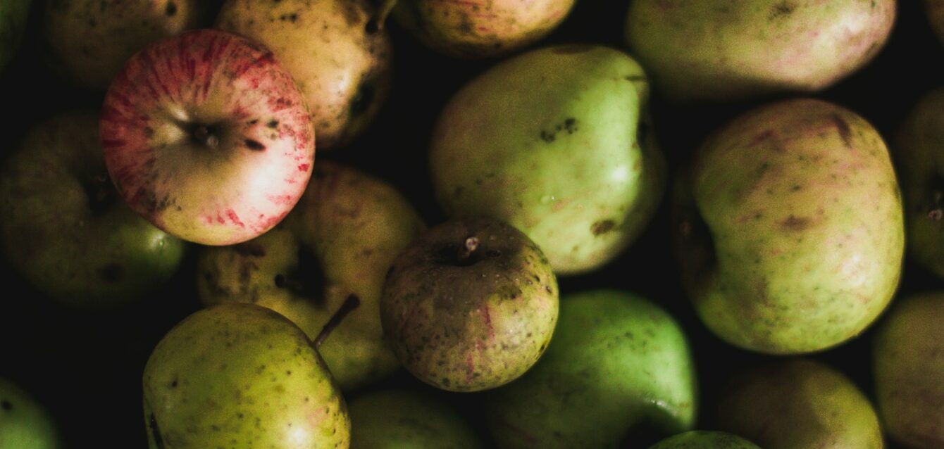 Photo by Kira auf der Heide unripe apples