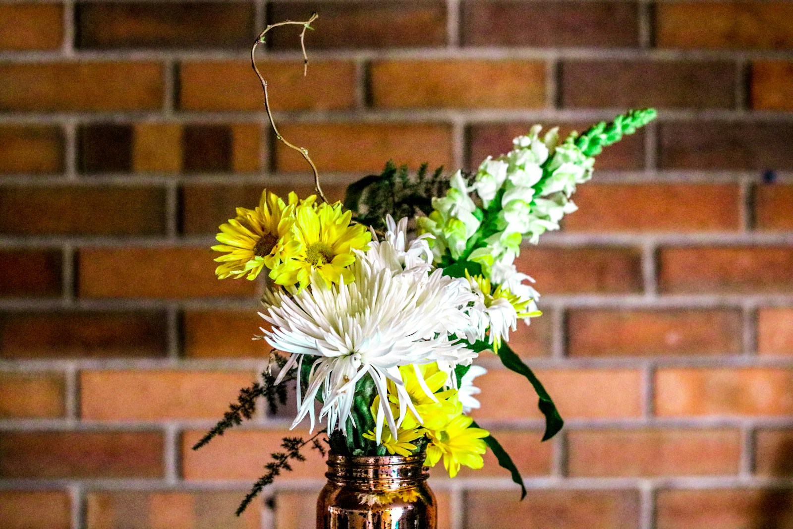 Photo by Randalyn Hill yellow and white flower on vase