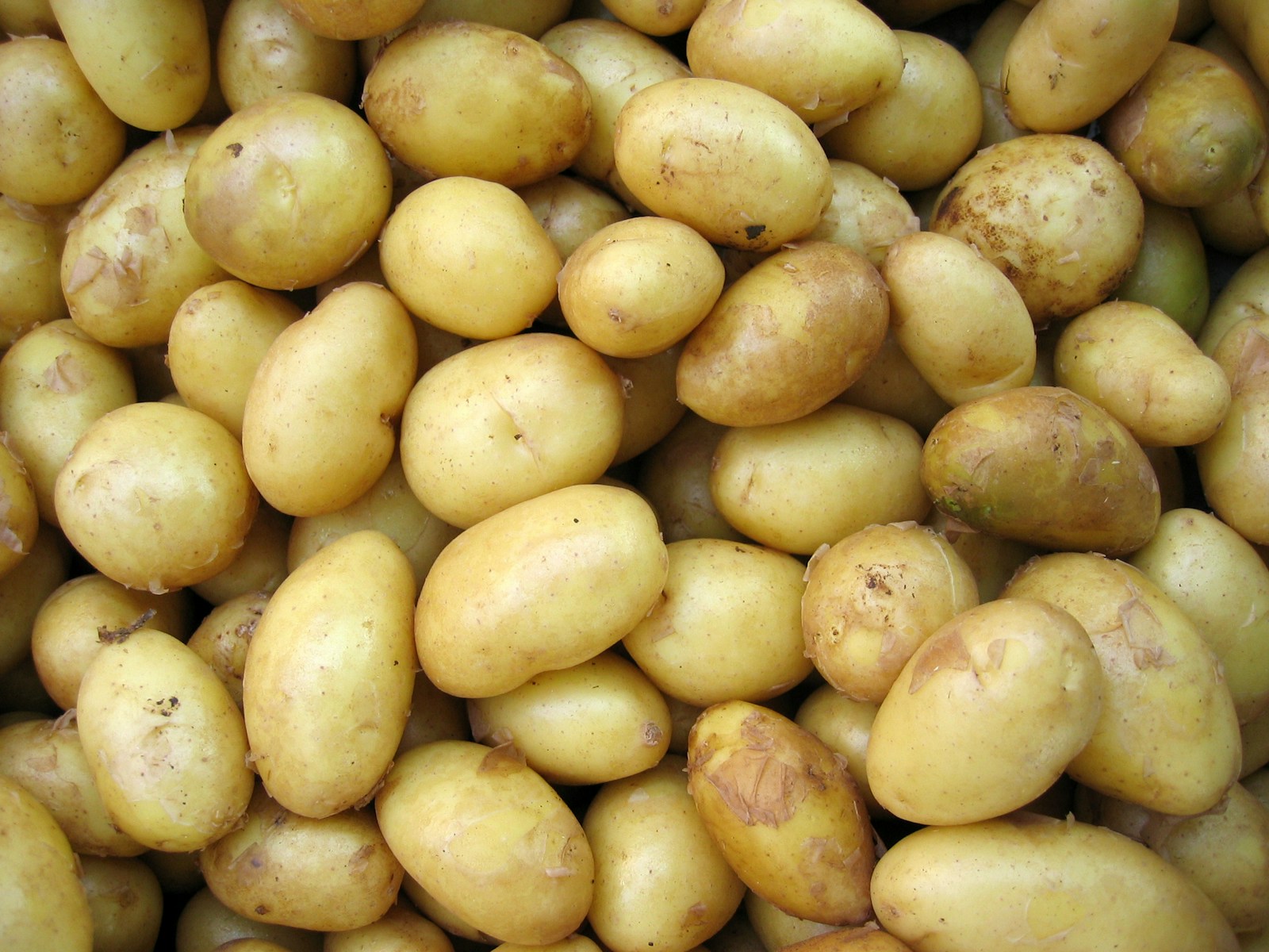 Photo by Hai Nguyen potatoes