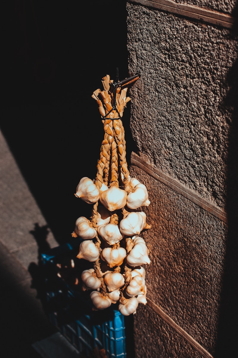 Photo by Ramón Salinero brown garlics hanged on wall at daytime