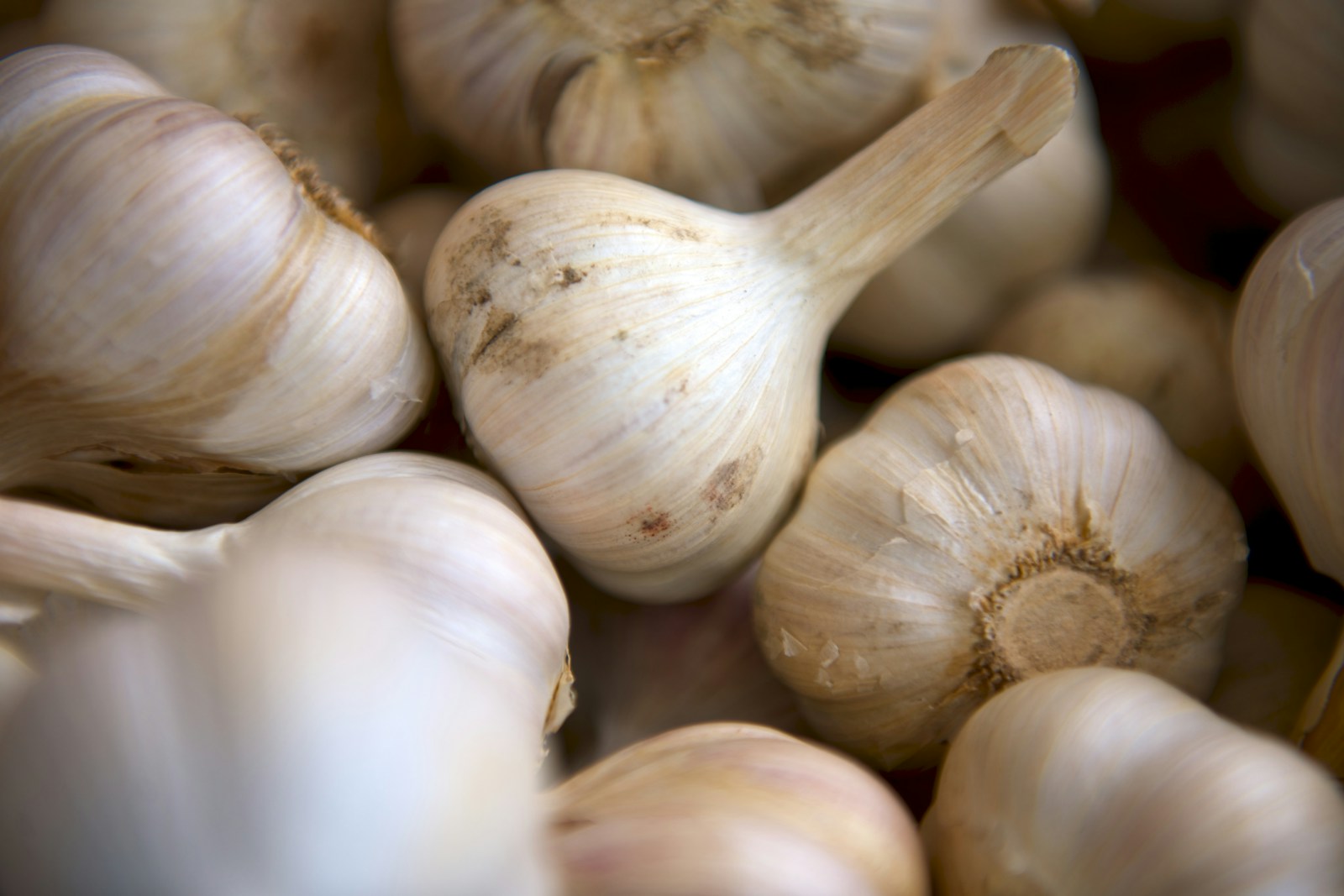 Photo by Matthew Pilachowski selective focus photography of onion
