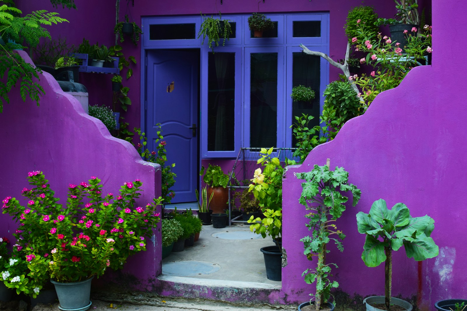 Photo by Mayur More a purple house with potted plants in front of it