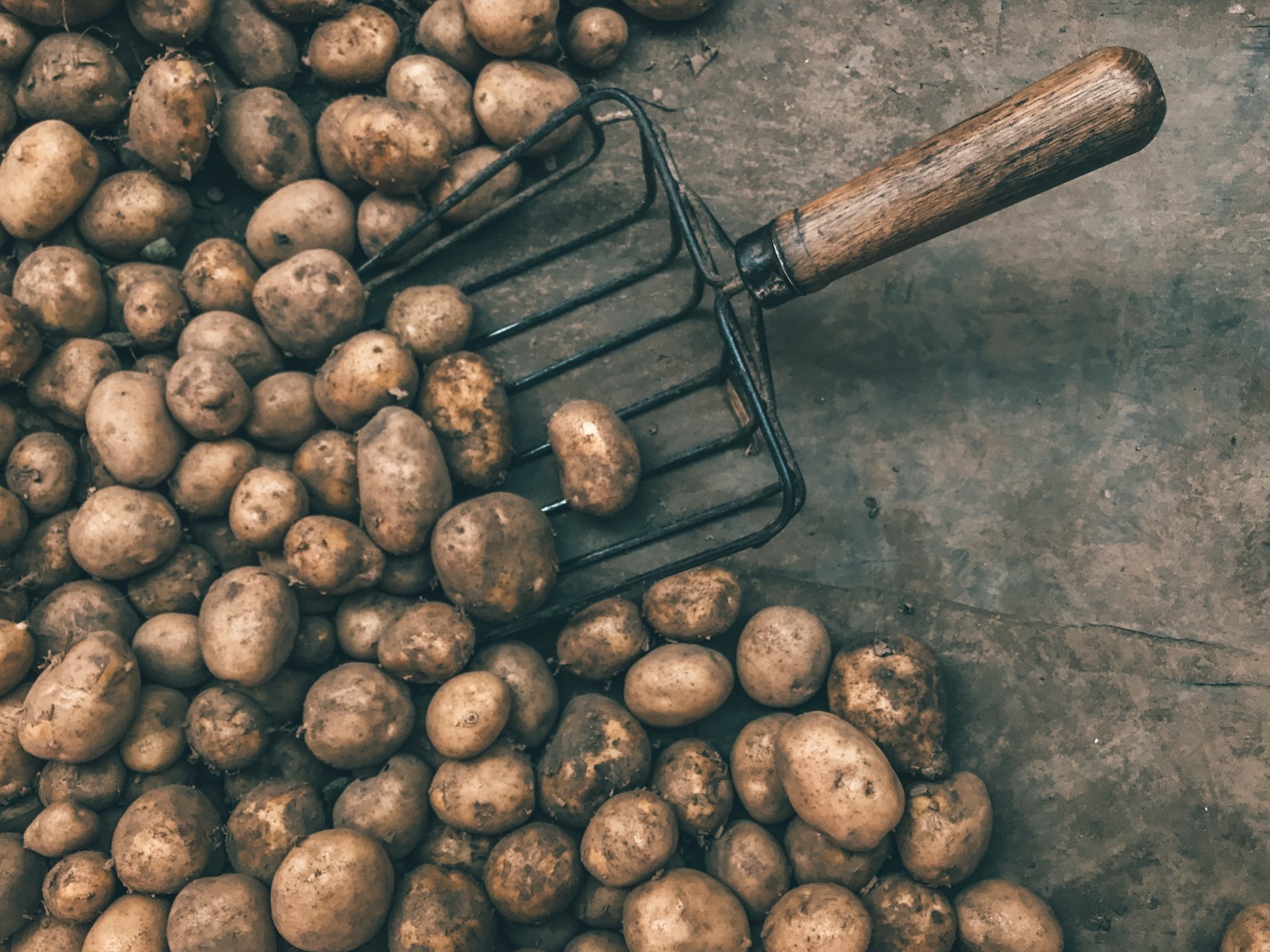 Photo by Jan Antonin Kolar pile of potatoes with shovel