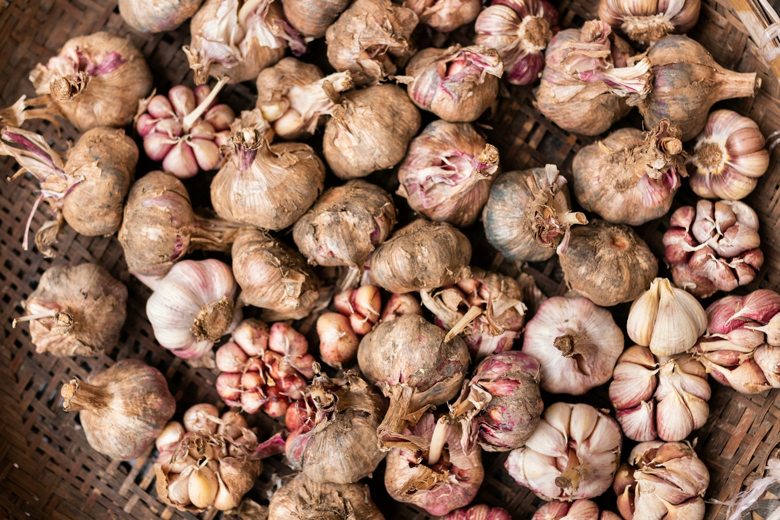 Photo by Joey Huang garlic lot