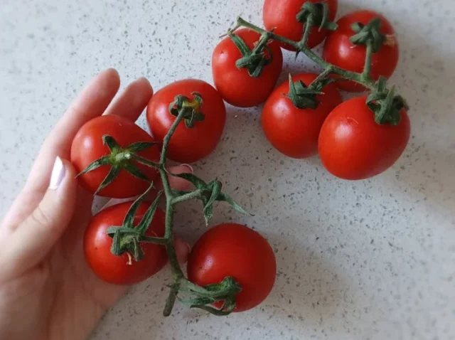 Photo by Melike Baran grow tomatoes on a balcony without using soil