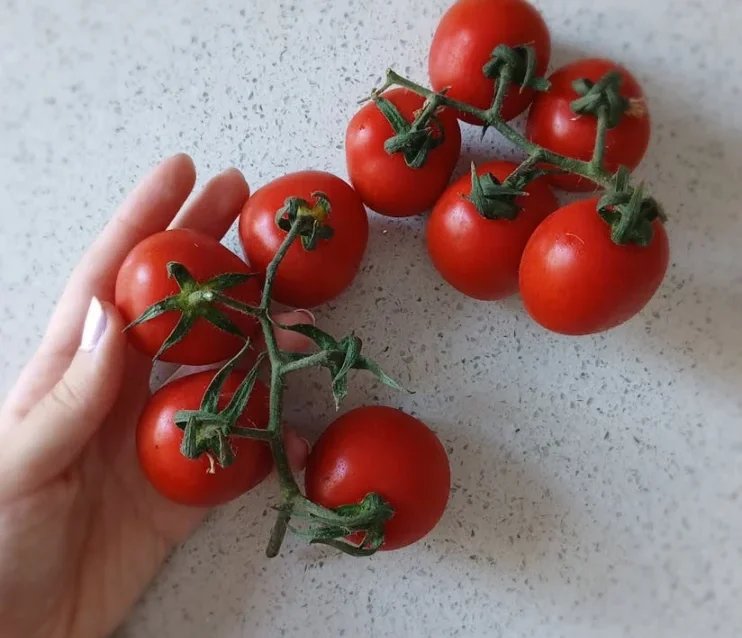 Photo by Melike Baran grow tomatoes on a balcony without using soil