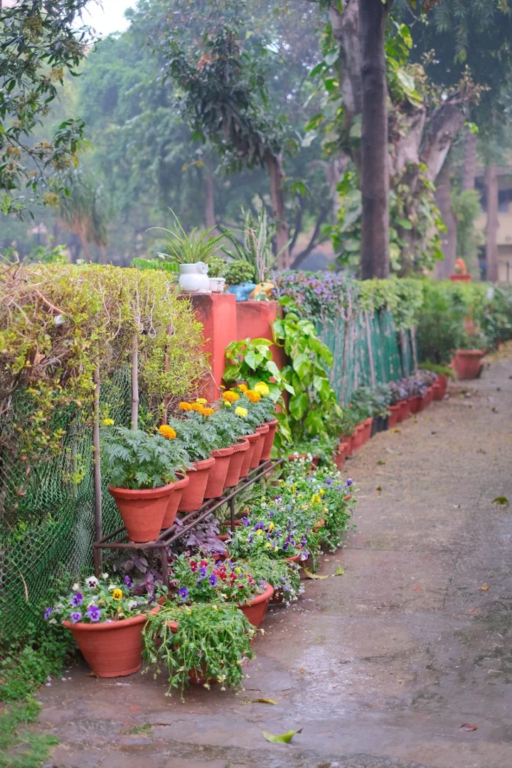 Photo by Ravi Sharma A row of potted plants sitting next to a fence