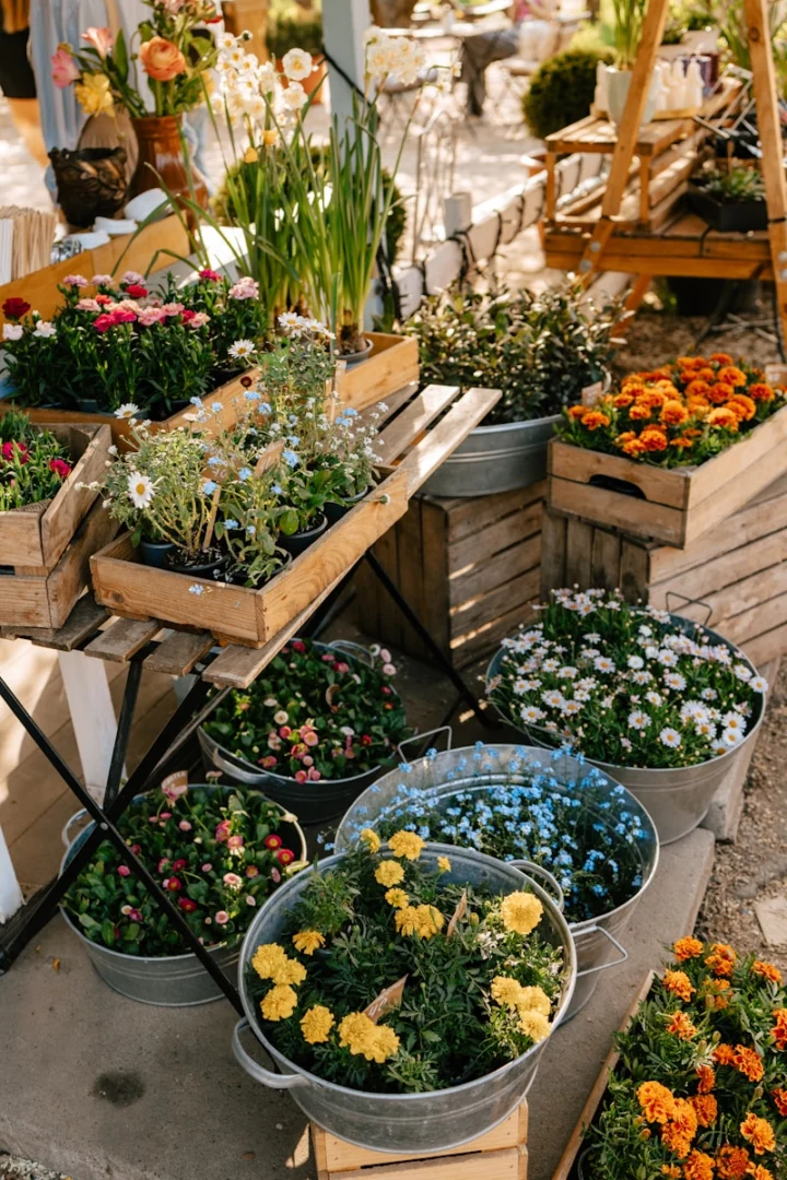 Photo by Anna Blake Flowers and plants are displayed in a lovely garden store.