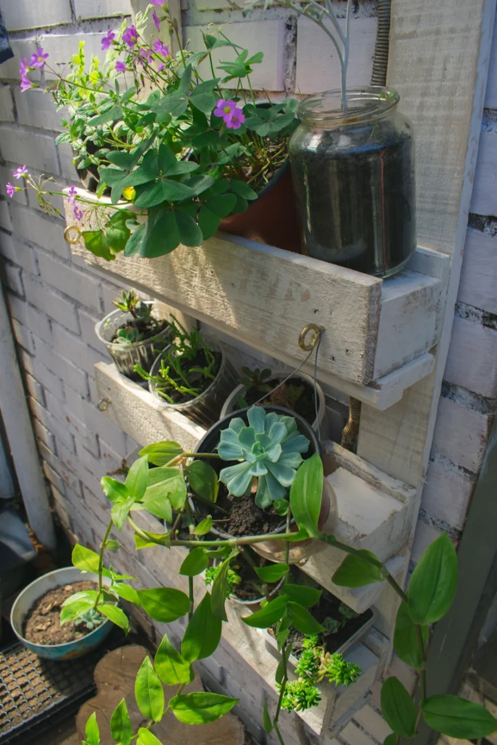 Photo by Hemerson Coelho green plant on white wooden box